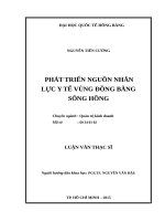 Luận văn Phát triển nguồn nhân lực y tế vùng đồng bằng sông hồng