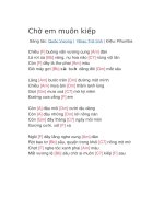 Hợp âm guitar bài hát chờ em muôn kiếp 