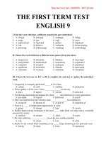 THE FIRST TERM TEST   l9   BUI VAN VINH 3 