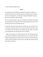 Tả cảnh một đêm trăng đẹp ở quê em