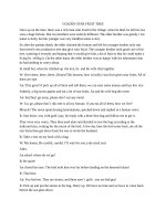 GOLDEN STAR FRUIT TREE 