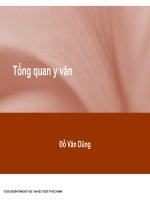 Viết tổng quan y văn cho nghiên cứu