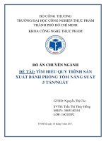 ĐỒ ÁN sản xuất bánh phồng tôm