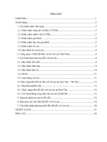 Tiểu luận bạo lực gia đình đối với trẻ em tại sơn tây