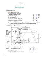kiem toán BTtuongchan