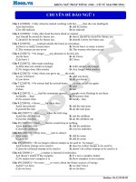 CHUYÊN ĐỀ ĐẢO NGỮ TRONG TIẾNG ANH