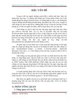 CHIẾT XUẤT DƯỢC LIỆU LÁ ỔI BẰNG PHƯƠNG PHÁP SIÊU ÂM