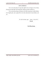 Luận văn thạc sĩ kỹ thuật về sợ composite trong xây dựng công trình - Mai Hồng Quang.DOC