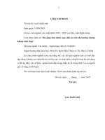 Luận án đa dạng hóa danh mục đầu tư trên thị trường chứng khoán Việt Nam