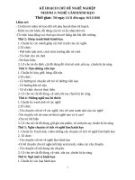 NHÁNH 3 CHỦ đề Nghề nghiệp