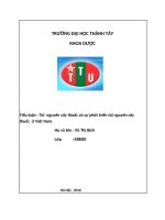 Tiểu luận Tài  nguyên cây thuốc và sự phát triển tài nguyên cây thuốc  ở Việt Nam