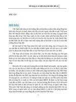 Nội dung và các biện pháp bảo đảm đầu tư 