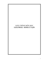 Giáo trình giải phẩu sinh lý lợn