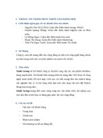 BÁO cáo dự án về sản phẩm mới