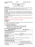 Tuần 13 giáo án lớp 5 soạn theo ĐHPTNLHS năm học 2018   2019 