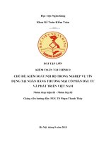 Tìm hiểu hệ thống kiểm soát nội bộ hoạt động tín dụng tại ngân hàng đầu tư và phát triển Việt Nam