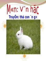 TRUYỆN THỎ CON ĂN GÌ