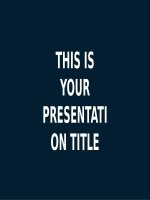 SLIDE PPT ĐẸP Dumaine 