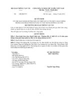 QD BGTVT hướng dẫn về thiết kế và tổ chức giao thông trong giai đoạn phân kỳ đầu tư xây dựng đường cao tốc