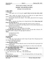 Tuần 15 giáo án lớp 3 soạn theo ĐHPTNLHS năm học 2018   2019 