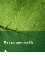 SLIDE PPT ĐẸP Ariel