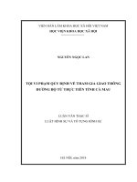 Tội vi phạm quy định về tham gia giao thông đường bộ từ thực tiễn tỉnh cà mau 