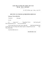 Đơn yêu cầu thành lập hội đồng định giá