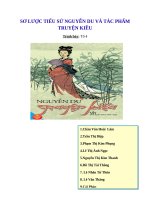 SƠ LƯỢC TIỂU SỬ NGUYỄN DU VÀ TÁC PHẨM TRUYỆN KIỀU