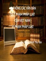 7Hệ thống các văn bản quy phạm pháp luật   thực hiện pháp luật, vi phạm pl