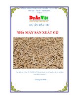Thuyết minh dự án nhà máy sản xuất gỗ tỉnh Gia Lai  www.duanviet.com.vn 0918755356