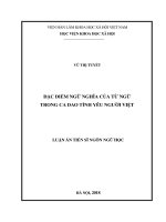 Đặc điểm ngữ nghĩa của từ ngữ trong ca dao tình yêu người việt 