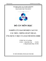 Báo cáo đồ án dao mổ điện cao tần
