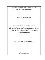 Bảo vệ và phát triển rừng bằng phương thức giao khoán theo pháp luật việt nam từ thực tiễn tỉnh bình định