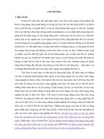 Khung pháp lý điều chỉnh hoạt động cạnh tranh giữa taxi truyền thống và hình thức vận tải Uber,Grab