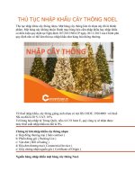 THỦ tục NHẬP KHẨU cây THÔNG NOEL