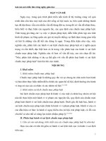 Nêu, phân tích những ví dụ cụ thể gắn với vấn đề phân loại hành vi sai lệch chuẩn mực pháp luật  