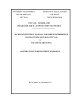 Technical efficiency of small and medium enterprises in manufacturing sector in viet nam 