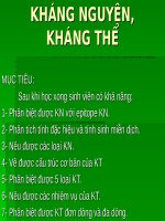 SLIDE BÀI GIẢNG HÓA SINH KHÁNG NGUYÊN, KHÁNG THỂ