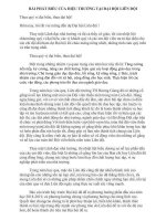 BÀI PHÁT BIỂU CỦA HIỆU TRƯỞNG TẠI ĐẠI HỘI LIÊN ĐỘI