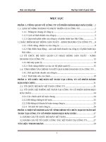 MỘT SỐ ĐÁNH GIÁ VỀ TÌNH HÌNH TỔ CHỨC HẠCH TOÁN KẾ TOÁN TẠI CÔNG TY CỔ PHẦN BÁNH KẸO HẢI CHÂU