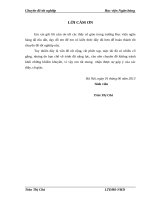 Giải pháp phòng ngừa và hạn chế rủi ro tín dụng tại Ngân hàng Đầu tư và Phát triển Việt Nam chi nhánh Quang Trung