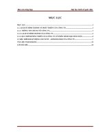 TÌNH HÌNH TỔ CHỨC HẠCH TOÁN KẾ TOÁN TẠI CÔNG TY CỔ PHẦN BÁNH KẸO HẢI CHÂU