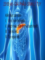 PANCREAS YKT CLB Y Khoa Trẻ ĐH Y Khoa Vinh