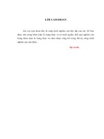 CÁC GIÁI PHÁP HOÀN THIỆN HOẠT ĐỘNG MARKETING Ở KHÁCH SẠN MƯỜNG THANH