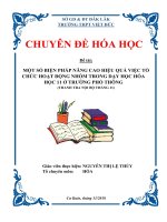 CHUYÊN ĐỀ MỘT MỘT SỐ BIỆN PHÁP NÂNG CAO HIỆU QUẢ VIỆC TỔ CHỨC HOẠT ĐỘNG NHÓM TRONG DẠY HỌC HÓA HỌC LỚP 11