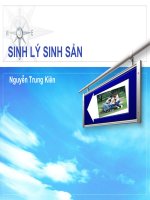 SLIDE BÀI GIẢNG  SINH LÝ SINH SẢN