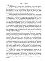 SKKN hướng dẫn học sinh giải bài tập hóa học THCS thông qua việc phân loại dạng bài tập