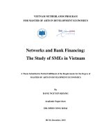 Networks and bank financing the study of SMEs in vietnam 