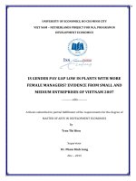 Is gender pay gap low in plants with more female managers evidence from small and medium entreprises of vietnam 2007 