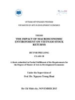 The impact of macroeconomics environment on vietnam stock returns 